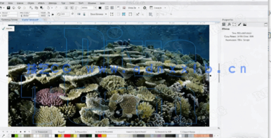 【中文字幕】CorelDRAW矢量设计完整工作流视频教程(图4)