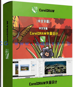 【中文字幕】CorelDRAW矢量设计完整工作流视频教程(图6)