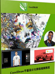 【中文字幕】CorelDraw平面设计大师级视频教程(图7)