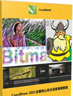 【中文字幕】CorelDraw 2021全面核心技术训练视频教程(图7)