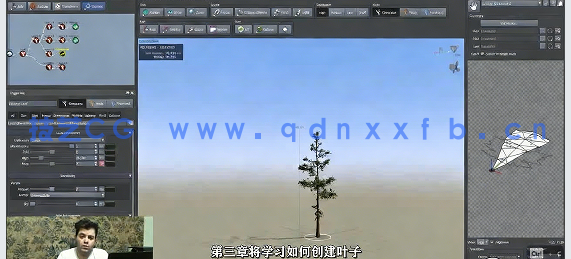 【中文字幕】SpeedTree树木植物制作全面核心技术训练视频教程(图5)