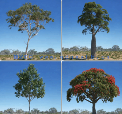 澳洲大洋洲树木3D模型Archmodels Vol.238(图5)