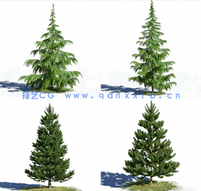 高质量针叶树Evermotion – Archmodels Vol. 219(图3)