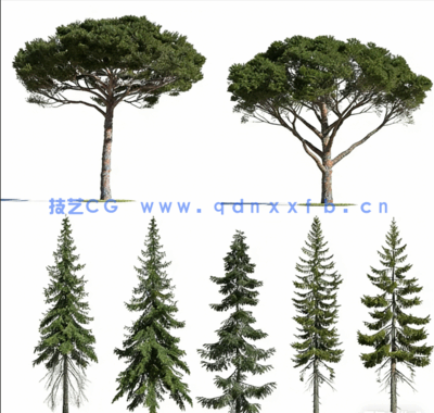 高质量针叶树Evermotion – Archmodels Vol. 219(图4)