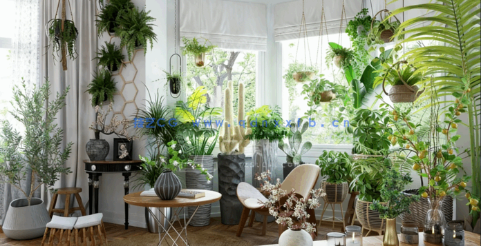 室内植物Archmodels Vol.260(图1)