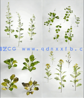 植物 Evermotion – Archmodels vol. 226(图6)