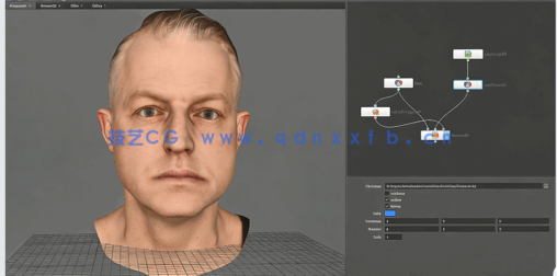 节点拓扑软件R3DS Wrap模型扫描拓扑视频教程(图4)