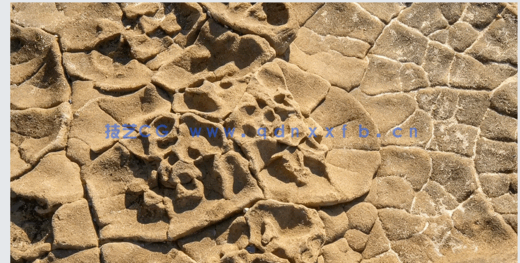 RenderMan逼真照片级环境渲染技术视频教程(图6)