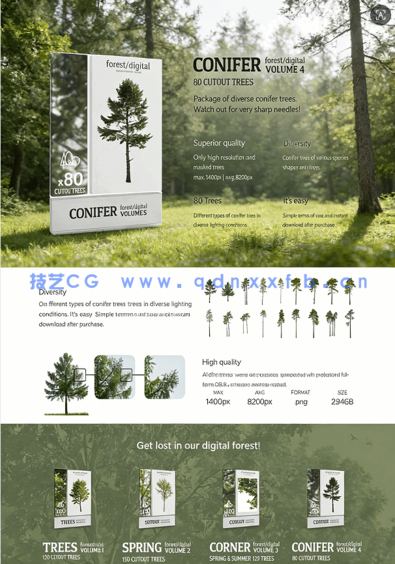 80棵超高清树木PNG素材Forest/Digital Vol.4 – Conifer Trees(图2)