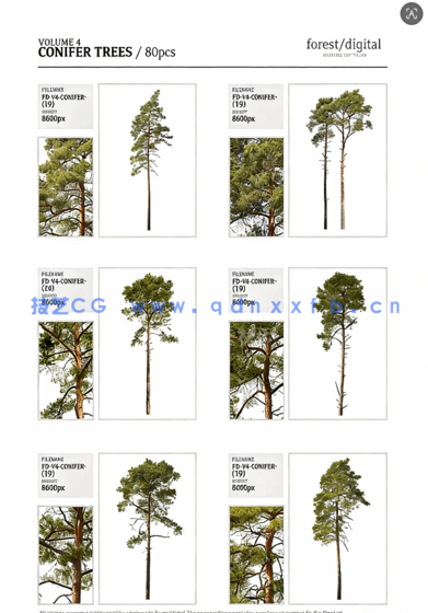 80棵超高清树木PNG素材Forest/Digital Vol.4 – Conifer Trees(图9)