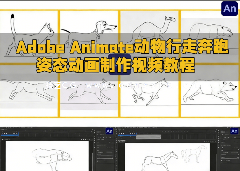Adobe Animate动物行走奔跑姿态动画制作视频教程(图6)