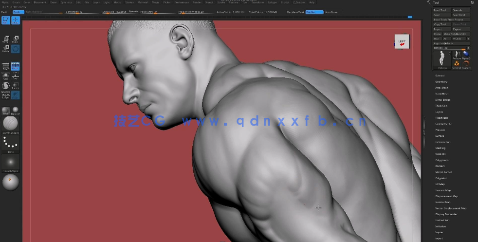 Zbrush写实健美运动员雕刻解剖结构视频教程(图4)
