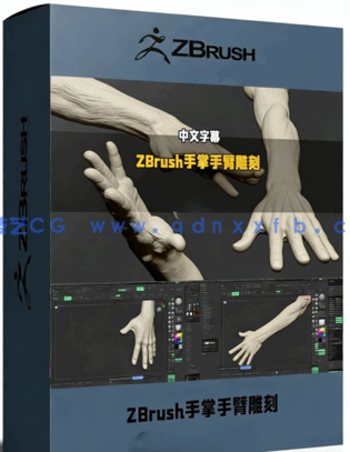 ZBrush手掌手臂数字雕刻技术训练视频教程(图1)