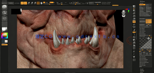 Zbrush 2024角色雕刻建模全面核心技术训练视频教程(图5)