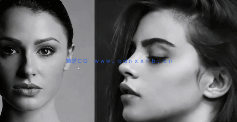 Zbrush女性人物头部肖像数字雕刻流程视频教程(图3)