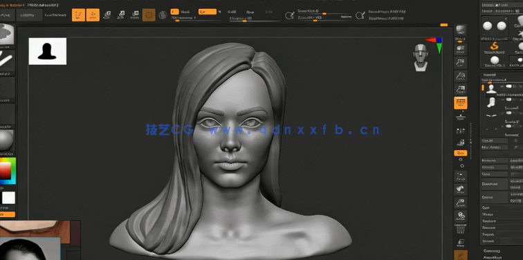 Zbrush女性人物头部肖像数字雕刻流程视频教程(图5)