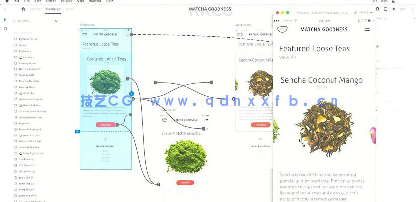 Adobe XD完全交互式内幕技巧视频教程(图2)