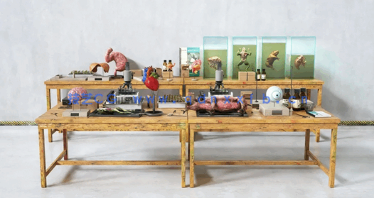 办公桌生物化学物理试验台3D模型Archmodels Vol.228(图5)