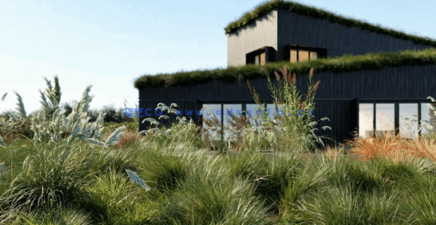 植物草3D模型 Globe Plants – Bundle 26 – Ornamental Grasses 02(图3)