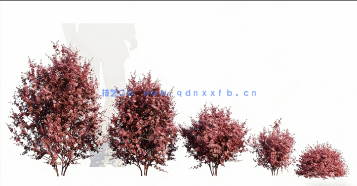 Globe Plants – Bundle 25 – Temperate Plants 02(图2)