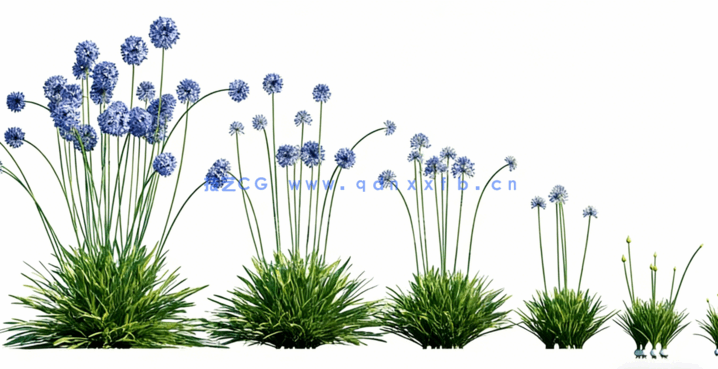 Globe Plants – Bundle 25 – Temperate Plants 02(图4)