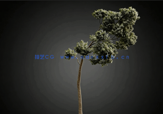  CGHelios – HeliosVegetation vol.2(图2)