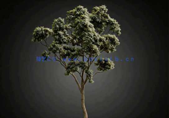  CGHelios – HeliosVegetation vol.2(图3)