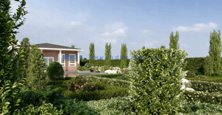 观赏植物和树篱Bundle 07 – Ornamental Plants & Hedges(图5)