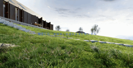 Globe Plants – Bundle 13 – 草与草坪 (3D模型)(图2)