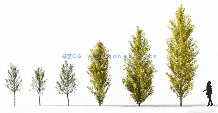 庭院植物树木3D模型Plant Models Vol.12(图4)