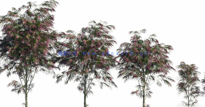 花园植物 Globe Plants – Bundle 04 – Garden Plants 02(图3)