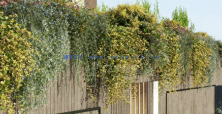 藤蔓植物和爬行植物 Globe Plants – Bundle02 – Vines And Creepers(图5)