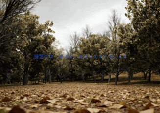 CGHelios – HeliosVegetation vol.1(图1)