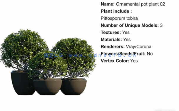 Globe Plants – Bundle 01 – Ornamental and Decorative Pot Plants(图4)
