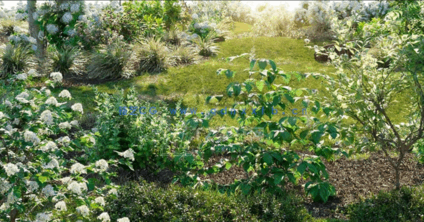 北美花园植物灌木3D模型第二套 Globe Plants – Bundle 29(图2)