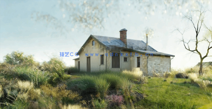 野外杂草植物3D模型 Globe Plants – Bundle 18 – Ornamental Grasses(图1)