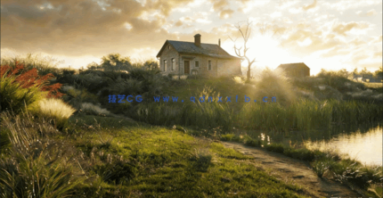 野外杂草植物3D模型 Globe Plants – Bundle 18 – Ornamental Grasses(图4)