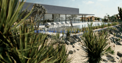 沙漠植物3D模型 Globe Plants – Bundle 11 – Desert Garden(图5)