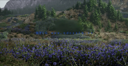 草地和花园景观3D植物模型Globe Plants - Bundle 58 - Meadow Plants(图4)