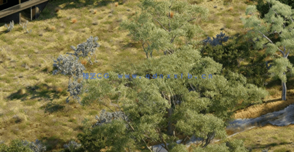 花园景观树木植物3D模型 Globe Plants – Bundle 62(图3)