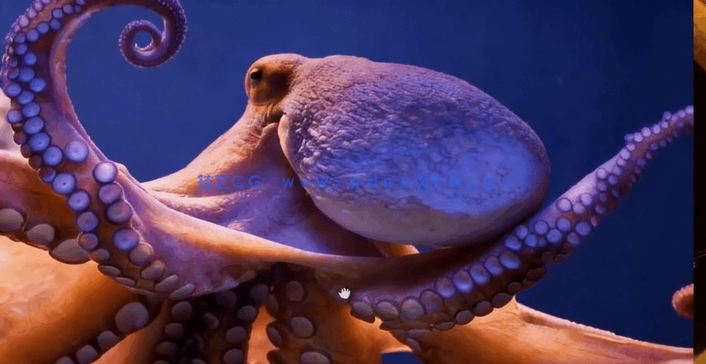 Zbrush克苏鲁神话生物雕刻制作全流程视频教程(图3)