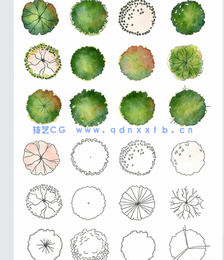  PSD手绘风平面植物免扣素材(图2)