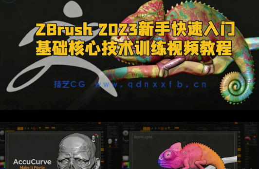  ZBrush 2023新手快速入门基础核心技术训练视频教程 (图1)