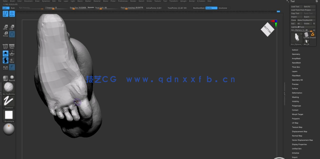 ZBrush健美运动员肌肉结构解剖雕刻技术视频教程 (图2)