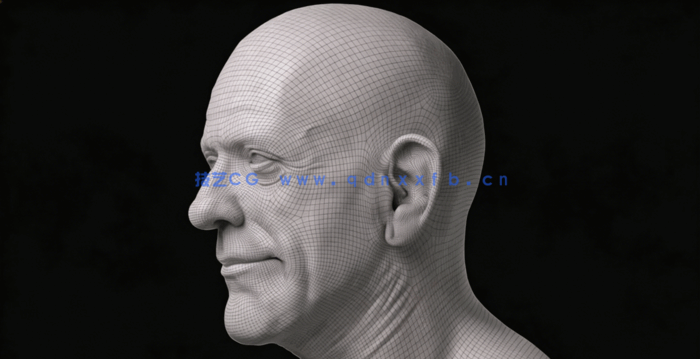 ZBrush与KeyShot逼真人物肖像制作视频教程 (图5)