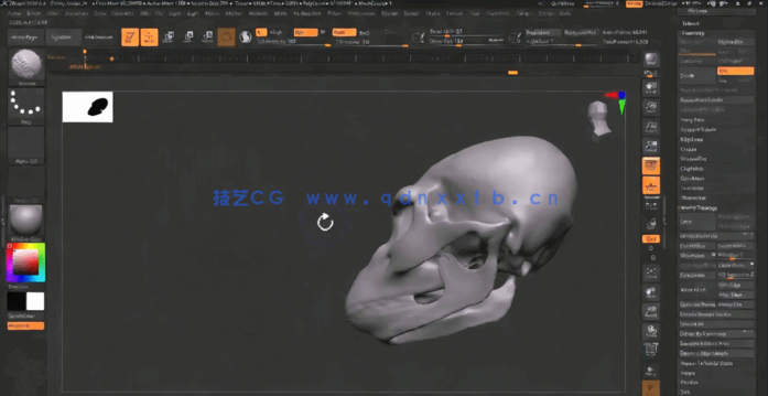 逼真黑猩猩生物CG制作全流程视频教程(图3)