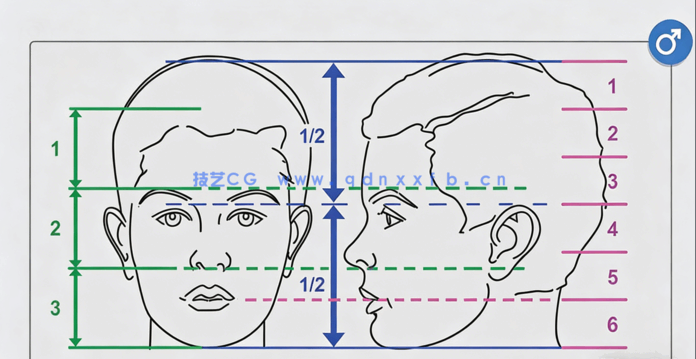  ZBrush初学者基础知识入门训练视频教程(图4)