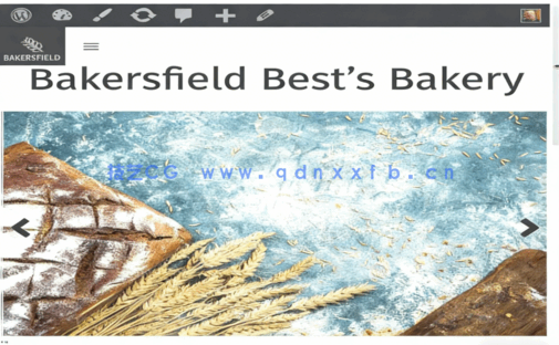 使用响应式WordPress主题制作网站工作流程视频教程(图3)