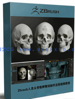 Zbrush人类头骨骷髅雕刻制作流程视频教程(图1)