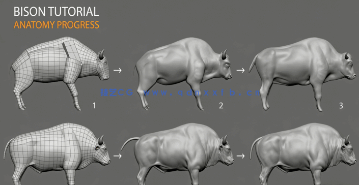 Zbrush与Maya野牛雕刻完整实例制作视频教程(图4)